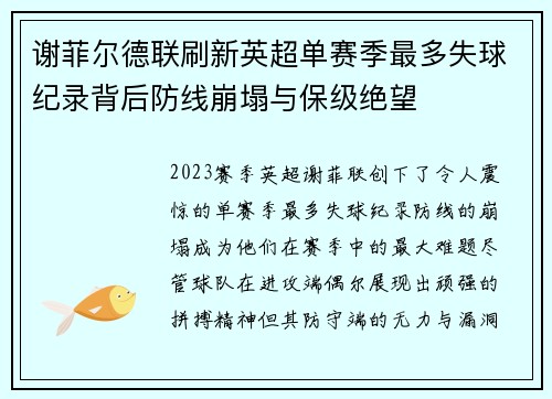 谢菲尔德联刷新英超单赛季最多失球纪录背后防线崩塌与保级绝望